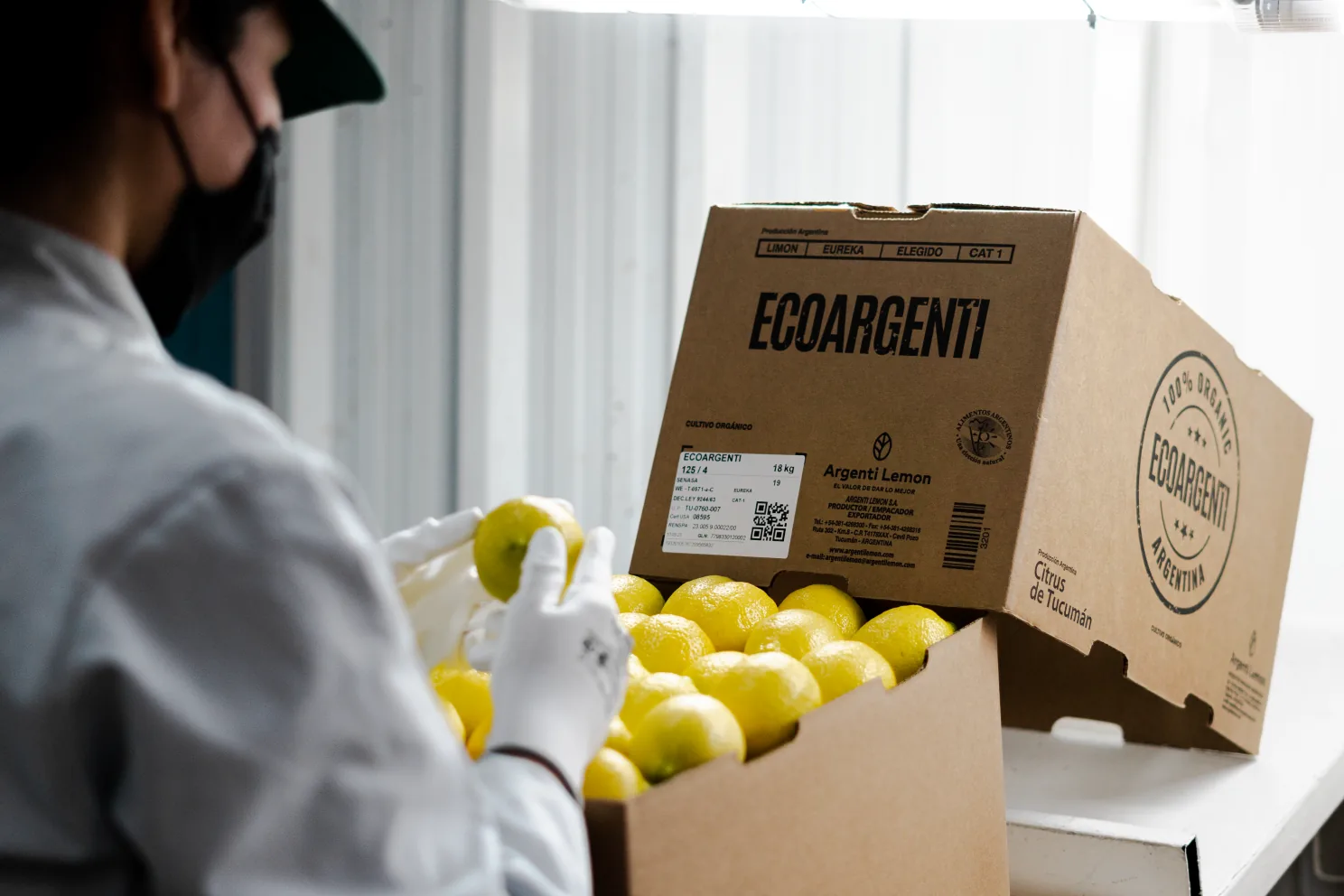 A worker packing lemons into an EcoArgenti box.
