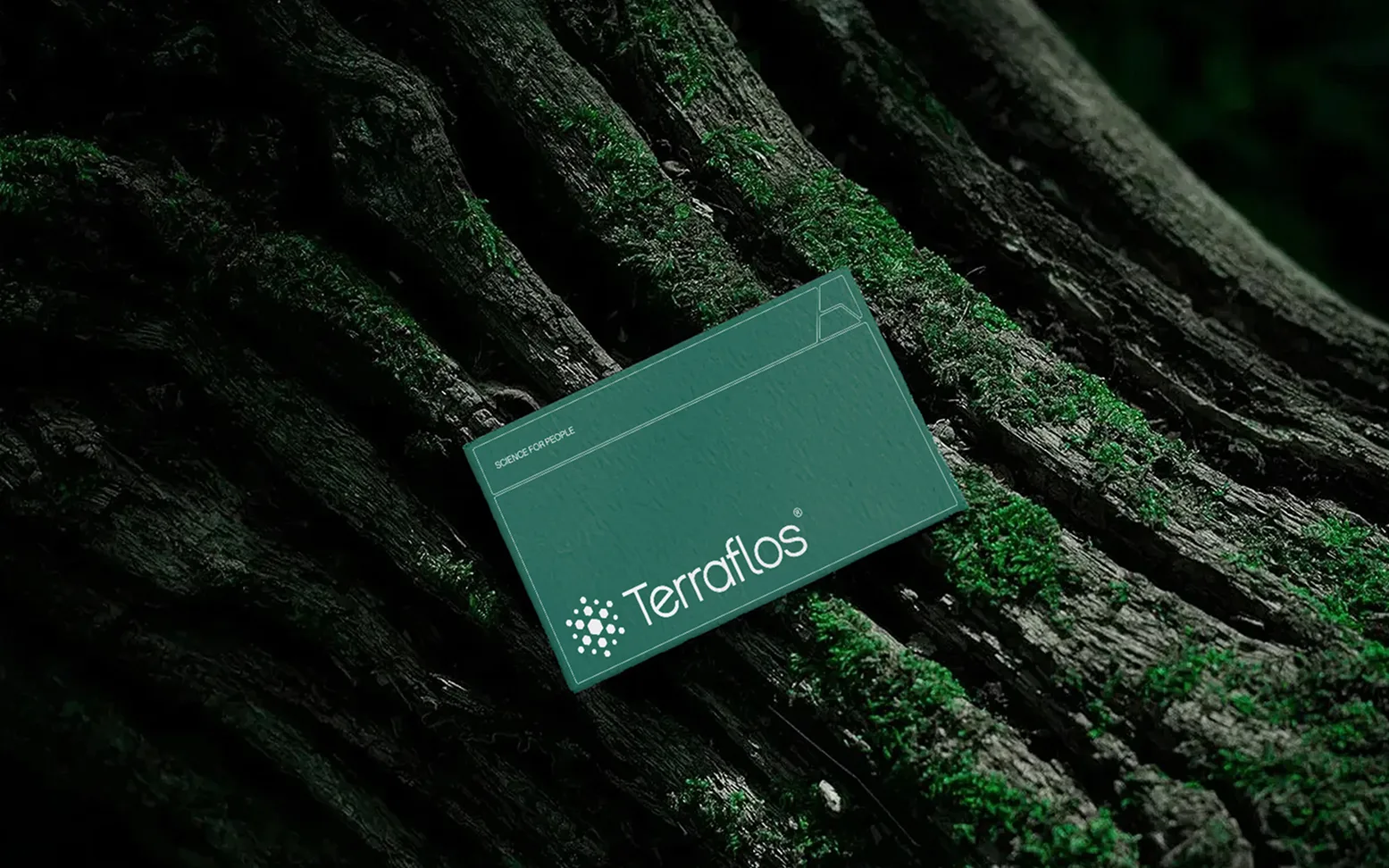 Terraflos business card resting on mossy bark